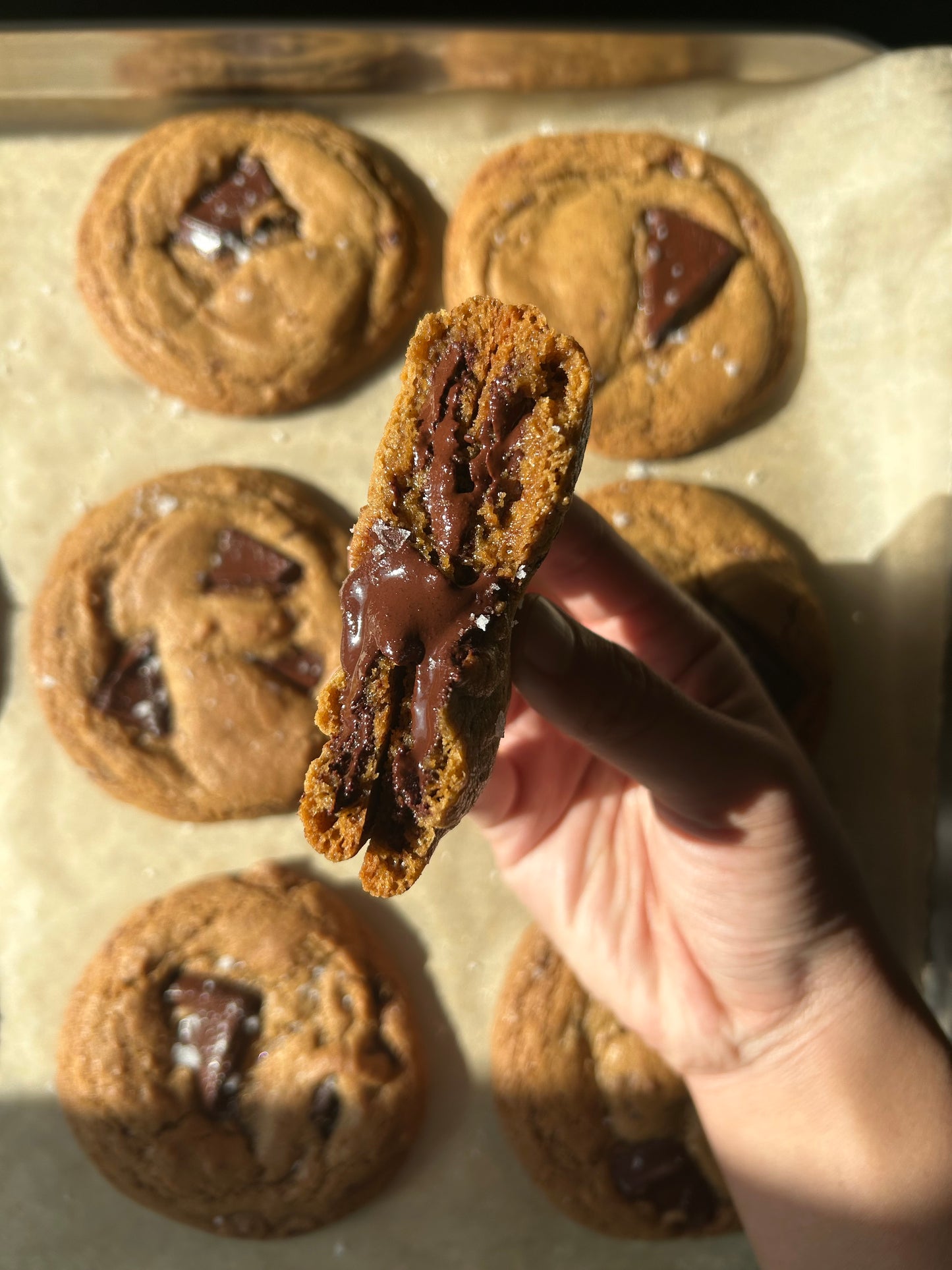 Organic Spring Salt Dark Chocolate Chunk Cookie
